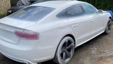 Дори малко дете би се справило по-добре с боядисването