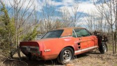 Супер рядък Ford Mustang ръждясва 20 години в полето