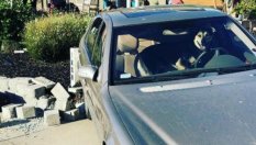 Куче открадна Mercedes и катастрофира