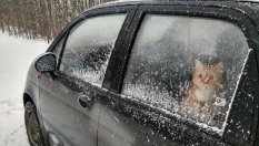 12 неща, които не бива да оставяте в колата през зимата