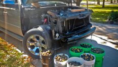 Катерици натрупаха 70 кг орехи под капака на Chevrolet Avalanche