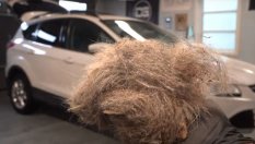 Как се мие автомобил след година пауза?