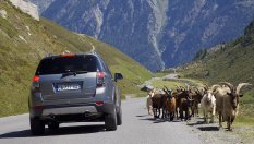 5 SUV на старо, с които не бива да се забърквате