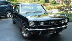 Mustang, купен за 500 долара, сега струва поне милион