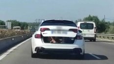 Audi RS4 Avant с деца в багажника лети по магистрала