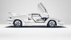 Смъртоносната тайна на бялата боя