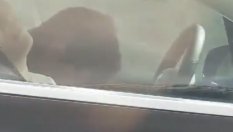 Шофьор спи зад волана на Tesla при скорост 100 км/ч