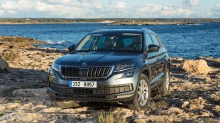 Пет проблема при Skoda Kodiaq на старо