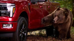  Мечка разби чисто нов Ford F-150 