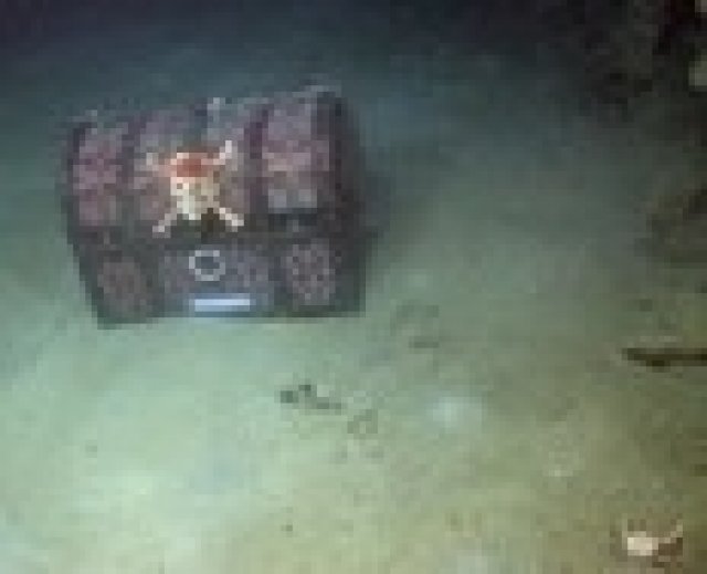 Да играеш за „съкровище”, да намериш съкровище...