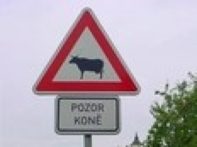 Внимание – животни на пътя