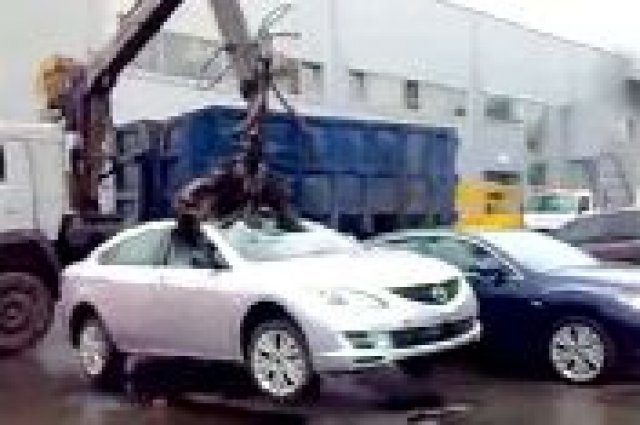 Руснак мачка чисто нови автомобили