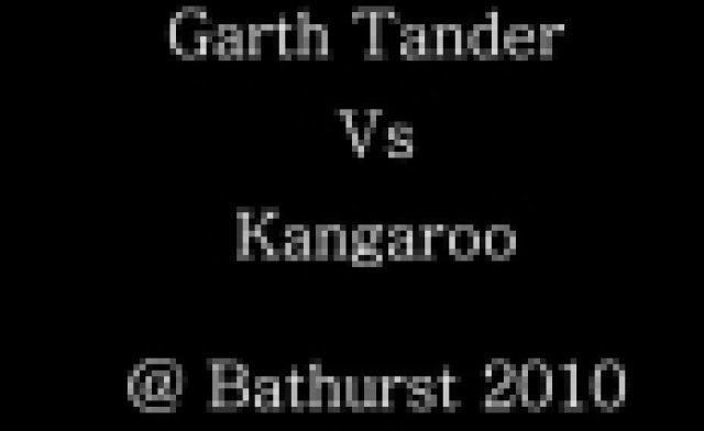 Кенгуру с голям късмет