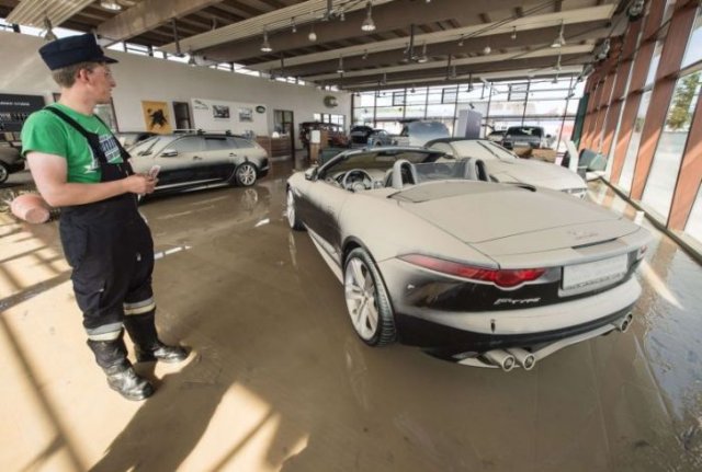 Внимание – коли-амфибии!