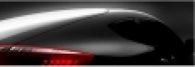 Готвят руски хибрид