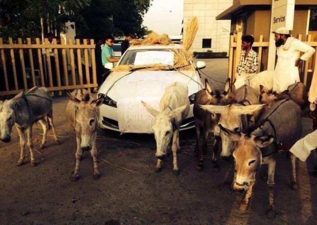 Индиец сравни своя Jaguar с магаре