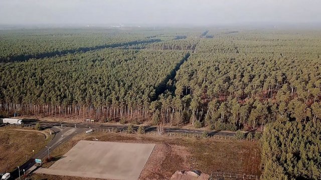 Съд спря завода на Tesla в Германия
