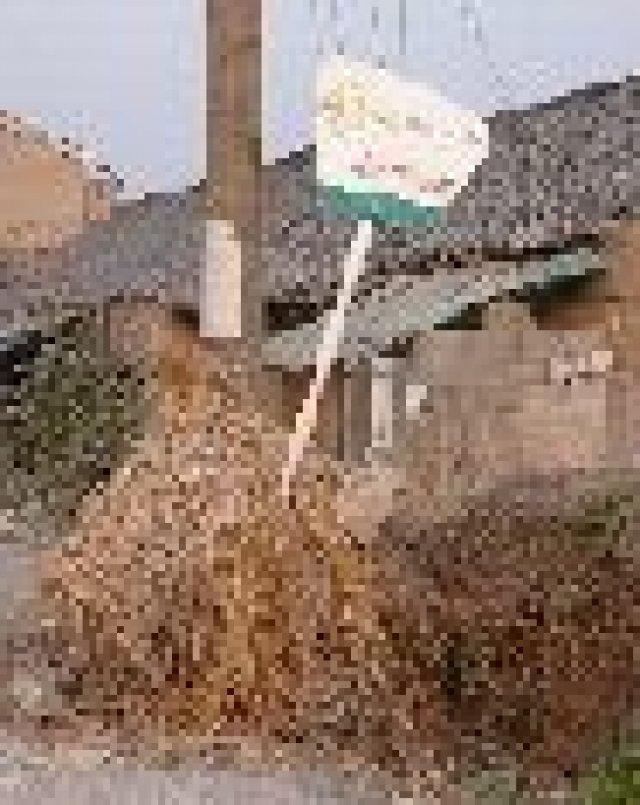 Автобусните спирки по света