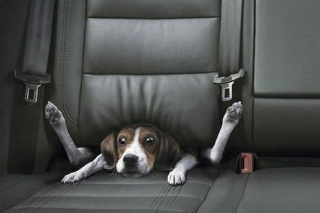 Интересни автомобилни реклами