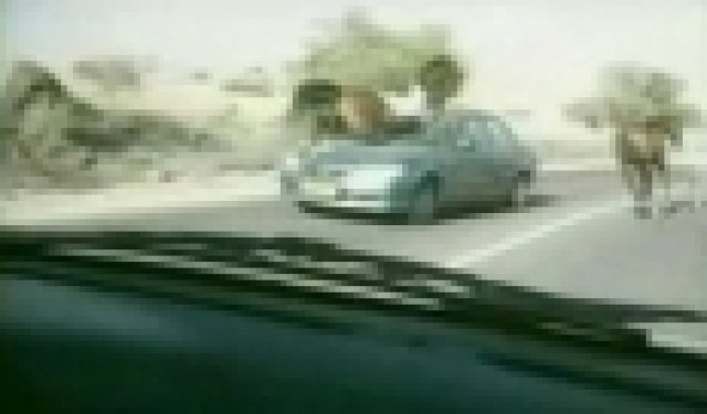 Краш-тест между кон и автомобил