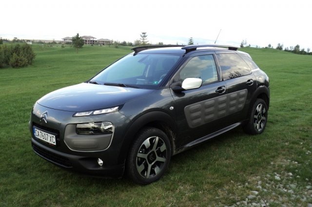 Cactus търси място под слънцето