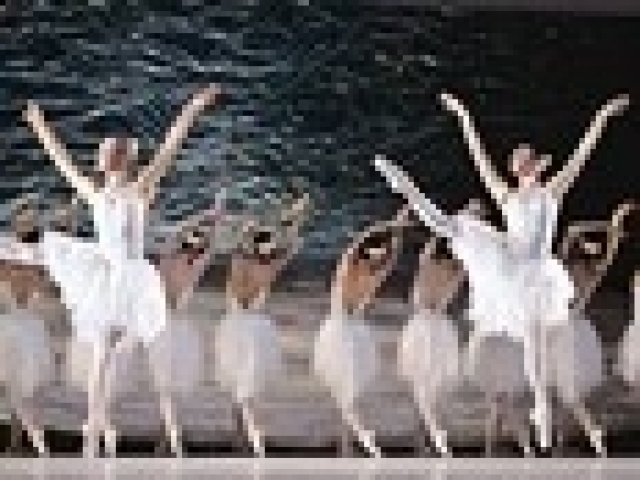 Преуморен лебед предизвика задръстване