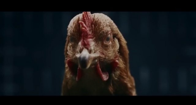 Кокошки рекламират нова система на Mercedes