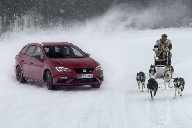 Кой ще победи на лед? Seat Leon Cupra срещу впряг кучета (ВИДЕО)
