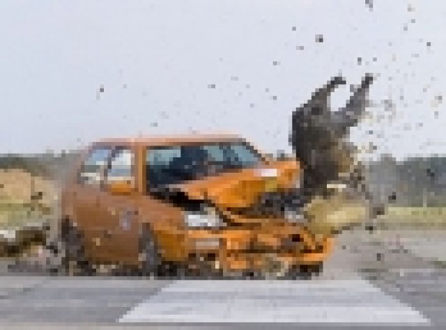 Тестове на ADAC за сблъсък с диви животни (с видео)