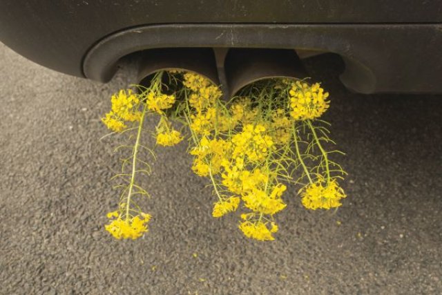 Защо Европа се оказа по-мръсна от Америка