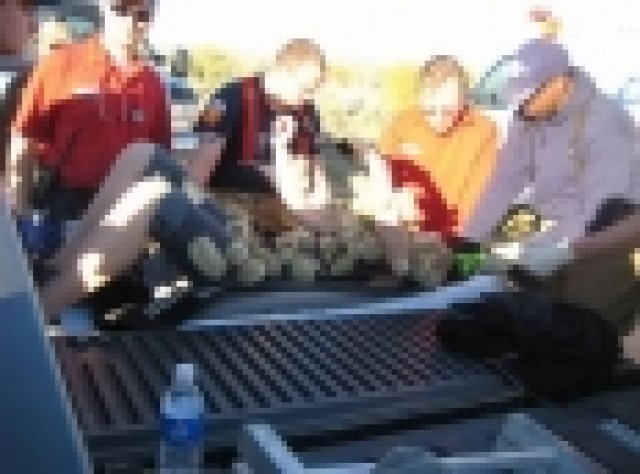 Наистина болезнена случка