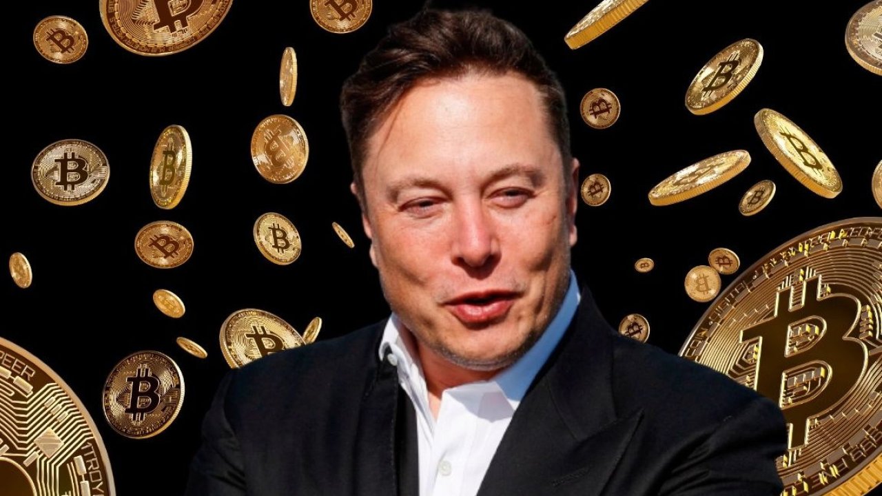automedia.investor.bg