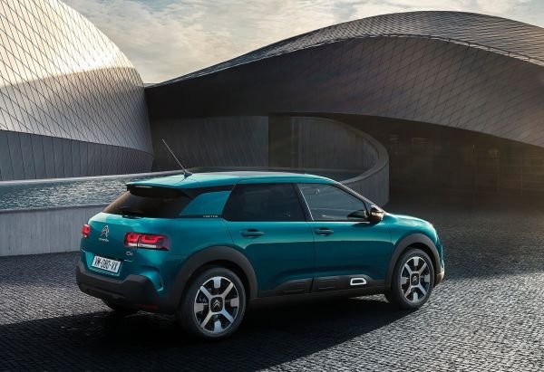 C4 Cactus 