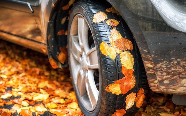 Зимните гуми не са панацея. А покритието на пътя през есента е коварно. Сцеплението може да падне рязко не само поради първите ледени корички, но и поради хлъзгавата мокра зеленина на пътя. Затова се опитайте да избягвате внезапни ускорения и забавяния, както и да увеличите разстоянието до съседните автомобили. 