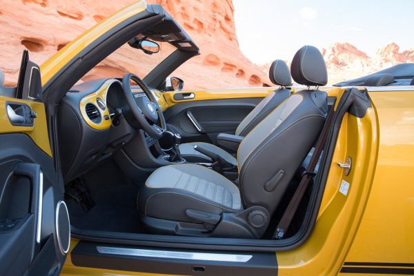 Beetle Dune