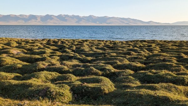 Брегът на езерото Сон Кол, на 3017 метра надморска височина