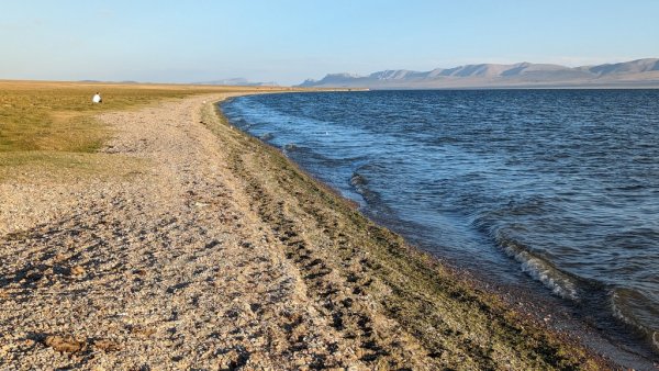 Брегът на Сон Кол