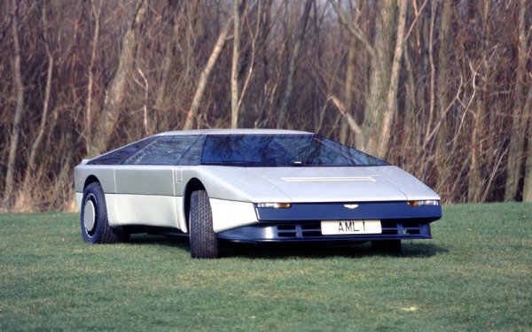 Създател на Bulldog е Уилям Таунс, като планът е за производството на едва 25 коли, задвижвани от 5,3-литровия V8 на марката, но вече с две турбини и мощност над 600 конски сили. Проектът е закрит от Виктор Гонтлет, който оглавява Aston през 1981 година. Единственият екземпляр е продаден от компанията през 1981 за 130 000 лири.