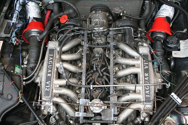 През 50-те години британците нахвърлят набързо планове за мощен двигател, който да задвижва състезателните им коли в Льо Ман. После тези планове са прибрани в шкафа за почти две десетилетия, за да се възродят през 1971 в сериен мотор, създаден за по-спортните предложения в гамата. 
Проблемът е, че с цел по-голяма компактност и запалването, и горивната помпа са разположени в силно нагорещяващата се вътрешност на V-то. Това води до множество проблеми с течение на времето. Електрическата система също страда от високата температура - кабелите се топят и нагарят, предизвиквайки всевъзможни бъгове. Въпреки това отделни версии на този двигател се монтират в серийни модели чак до 1997.