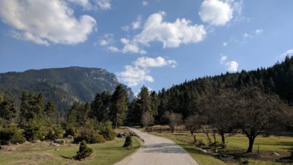 Регулярният трафик към и от столицата неизбежно преминава през Софийска област, и допринася за четвъртото най-лошо съотношение между фатални инциденти и брой на жителите в България. Най-лошият месец през 2021 е бил август със 7 жертви, следван от ноември и декември. 
Катастрофи на 100,000 жители: 65.1
