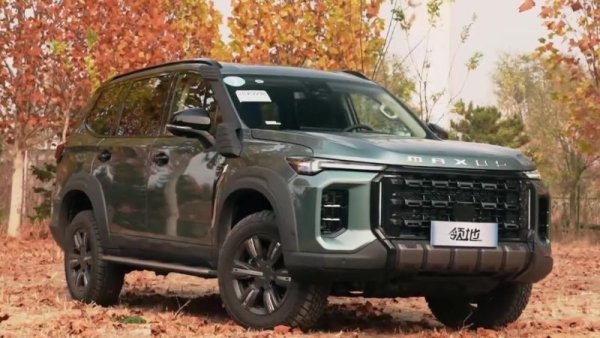 Стартирала живота си като скромен местен партньор на Volkswagen и GM, днес контролираната от китайската държава група Shanghai Automotive Industry Corporation е една от стоте най-големи компании в света, с успешни собствени марки като MG, Roewe и Maxxus. Годишните й продажби за 2022 надхвърлят 5.3 милиона автомобила, но тук се включват и произвежданите от джойнт-венчъри модели на VW и GM. Но и продажбите от собствените марки на SAIC са внушителни - 2.78 милиона автомобила, от които 1.07 милиона - с електрическо задвижване. 

Приходи: 98.12 млрд. евро
Нетна печалба: 2.12 млрд. евро
Продажби: 2.785 млн. автомобила
