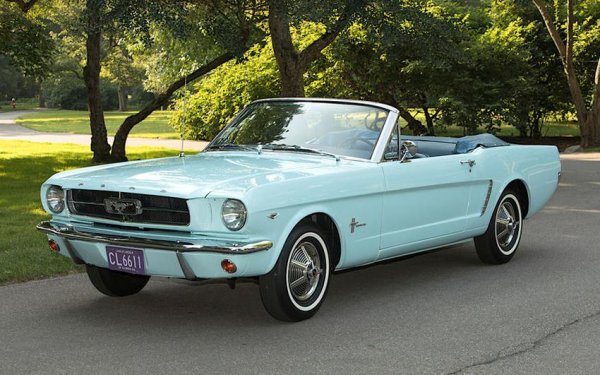 Mustang може и да не първото &bdquo;пони&rdquo; на пазара, тъй като Plymouth Barracuda е представен 2 седмици по-рано, но със сигурност е най-успешното &ndash; само в първите години след представянето са достигнати 1 милион продажби.

Mustang е представен с избор между 6- и 8-цилиндрови двигатели, като още преди лансирането на второто поколение е наличен чудовищен 7-литров V8 мотор.