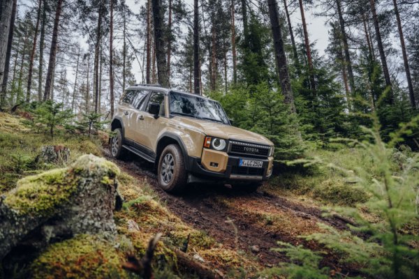 Както вече споменахме, по ценова листа стартовото ниво Executive е 163 980 лева, за Prestige искат 181 480, а за Luxury - 184 480 лева (94 327 eвро). 
Тук е мястото да напомним, че Европа всъщност получаваме "детския" Land Crusier - така наречената light duty гама, която на повечето световни пазари се нарича Land Cruiser Prado или само Prado. По-голямата Station Wagon версия, с код LC300, не се предлага в Европа. Както и последните оцелели от heavy duty гамата. 
