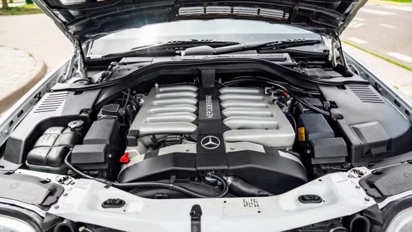 При Pagani Zonda C12 се използва използва леко модифицирана версия на двигателя M120 V12, който може да бъде конфигуриран да съответства на мощността на S600 и, докато в топ-версията моторът развива 450 к.с. Суперколата е произведена в тираж от 5 бройки, а Pagani  продължава да разчита на V12 двигател от Mercedes-Benz.