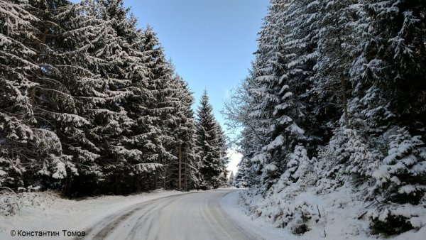 Област Смолян е една от най-рядко населените - 103 532 души. Тежките инциденти през миналата година са 75, но само с четирима загинали. На снимката: заснежен път край Доспат.
     
Средно жертви на 100 000 души: 3.88
