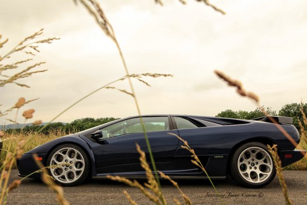 Частна колекция от 82 суперколи