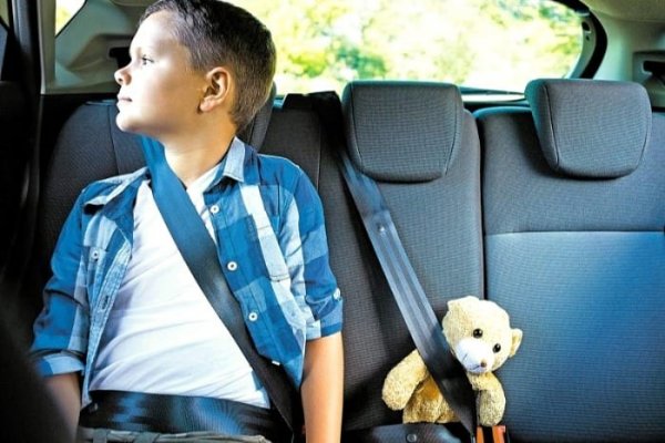 Дори при удар със скорост от 30 км/ч малко дете, което тежи около 7 кг., със сигурност ще излети от ръцете на възрастния, тъй като върху него въздейства сила от 135 кг. Удържането на подобно тегло е невъзможно.