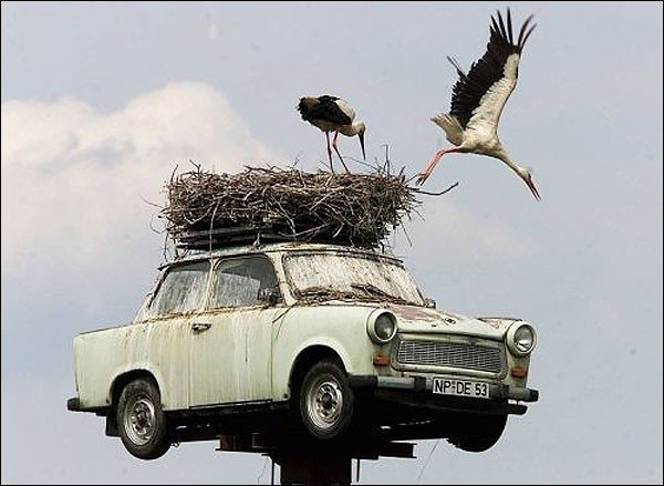 АвтоСмях