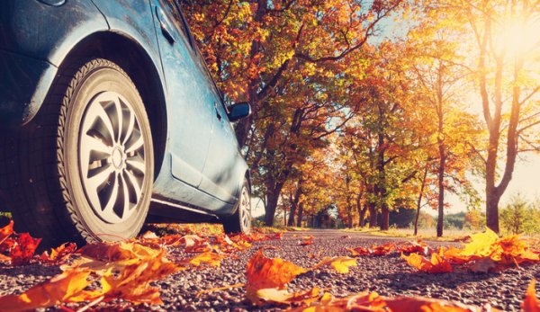 Различни компоненти на окачването са свързани помежду си с помощта на метални шарнири и гумирани подвижни съединения. Един от компонентите на окачването, който е подложен на критично напрежение при стартиране без предварително загряване на ходовата част, са прахозащитните маншони. При ниски температури гумата им се втвърдява и шарнирите се покриват със скреж или тънък слой лед, което увеличава риска от скъсване на гумените влакна.

Сгъстеното масло не може ефективно да изпълнява функцията си без предварително загряване. При рязко стартиране в студено време, бучките сгъстено масло могат да повредят уплътненията на буталния прът и да причинят деформация на компонентите на клапанния механизъм на окачването. Без предварително загряване, амортисьорите няма да могат адекватно да абсорбират удари и тласъци.
