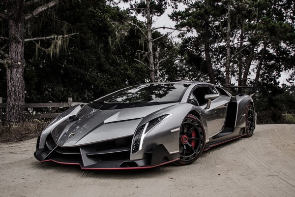 Купето Veneno е произведено в четири екземпляра, като три от тях са изпратени на клиенти (всяко копие е боядисано в един от цветовете на италианското знаме - съответно червено, бяло и зелено), а четвъртият &ndash; сребрист на цвят, все още се използва от Lamborghini за участие в изложения и други събития. Това е така наречената &bdquo;нулева кола&ldquo;.